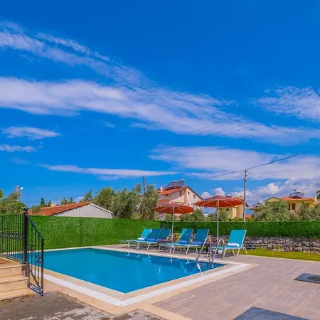 Infinity Myra فيلة *