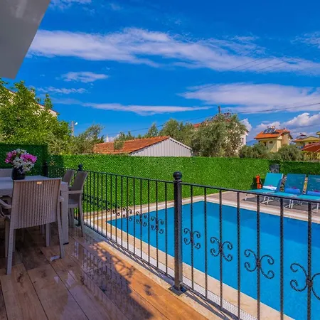 Infinity Myra فيلة