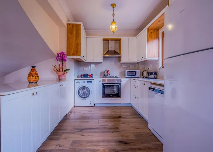 빌라 Infinity Myra 페티예